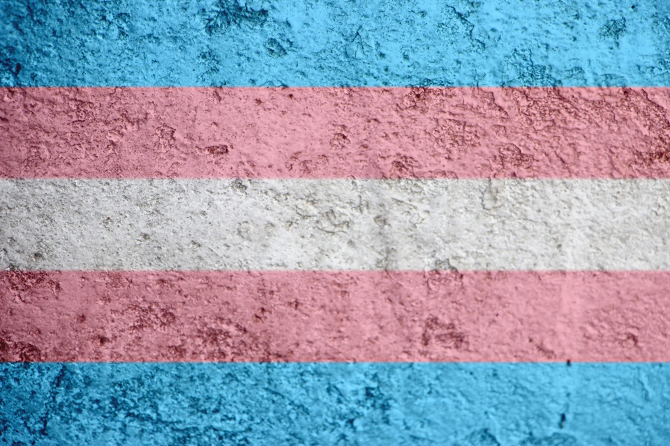 The transgender flag